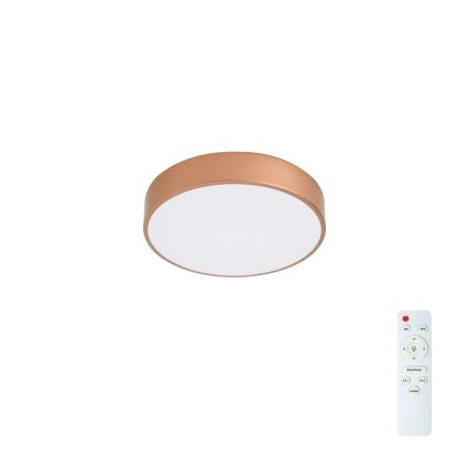 BRILAGI - LED стельний світильник із регульованою яскравістю POOL LED/36W/230V 3000-6000K, діаметр 30 см, бронзовий + пульт дистанційного керування