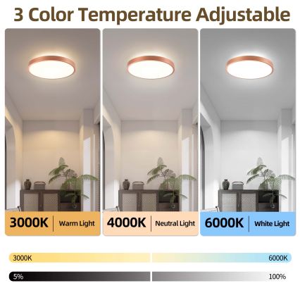 BRILAGI - LED затемнюваний стельовий світильник GLASS POOL DOUBLE LED/48W/230V діаметр 40 см мідний + пульт дистанційного керування