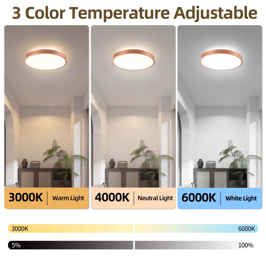 BRILAGI - LED затемнюваний стельовий світильник GLASS POOL DOUBLE LED/48W/230V діаметр 40 см мідний + пульт дистанційного керування