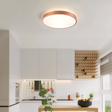 BRILAGI - LED затемнюваний стельовий світильник GLASS POOL DOUBLE LED/48W/230V діаметр 40 см мідний + пульт дистанційного керування