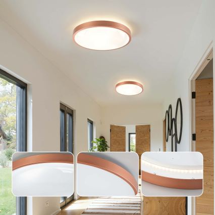 BRILAGI - LED затемнюваний стельовий світильник GLASS POOL DOUBLE LED/48W/230V діаметр 40 см мідний + пульт дистанційного керування