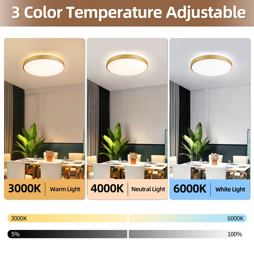 Брілагі - LED стельовий світильник з регулюванням яскравості GLASS POOL DOUBLE LED/60W/230V 3000-6000K 50 cm золотистий + пульт дистанційного керування