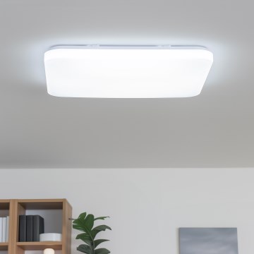 Brilagi - Димований стельовий світильник SHINE LED/24W/230V діаметр 60 см 3000/4000/6500K кремовий + дистанційне керування