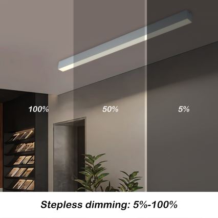 Brilagi - димований стельовий світильник SLEEKLINE SMART LED/40 Вт/230 В 3000–6000 К Wi-Fi Tuya сріблястий + пульт дистанційного керування
