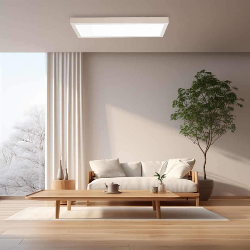 Brilagi - LED Стельова лампа з димером FRAME SMART LED/30W/230V 30x60 см 3000-6000K IP44 біла + дистанційний пульт