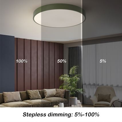 BRILAGI - димований стельний світильник POOL LED/60W/230V 3000-6000K діам. 60 см зелений + пульт дистанційного керування
