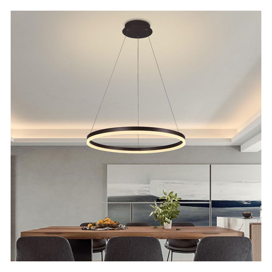Brilagi - Диммируемая светодиодная люстра на тросе CIRCLE LED/42W/230V 3000-6500K диам. 60 см коричневая + пульт дистанционного управления