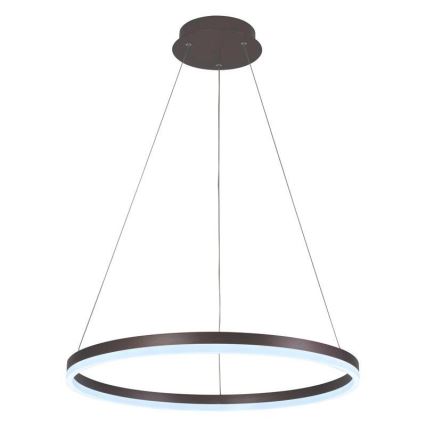 Brilagi - Диммируемая светодиодная люстра на тросе CIRCLE LED/42W/230V 3000-6500K диам. 60 см коричневая + пульт дистанционного управления
