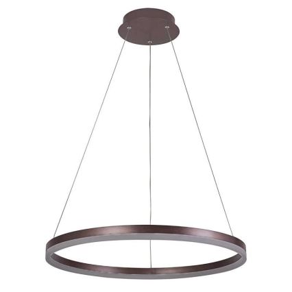 Brilagi - Диммируемая светодиодная люстра на тросе CIRCLE LED/42W/230V 3000-6500K диам. 60 см коричневая + пульт дистанционного управления