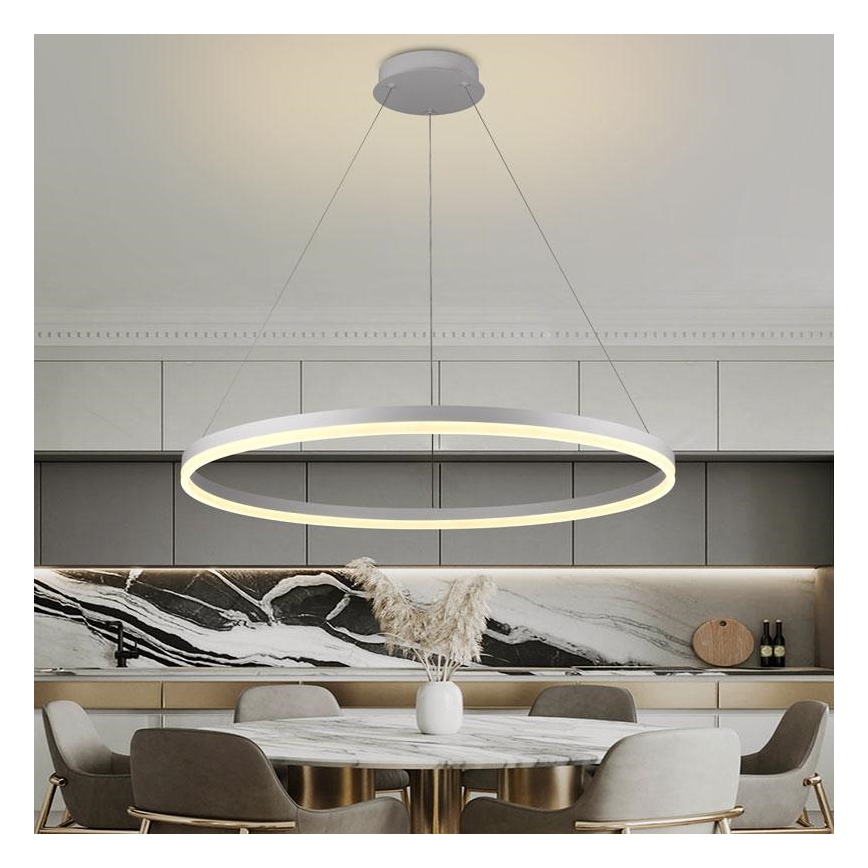 Brilagi - диммируемая LED-люстра на тросе CIRCLE LED/55Вт/230В 3000-6500К диам. 80 см белая + пульт дистанционного управления