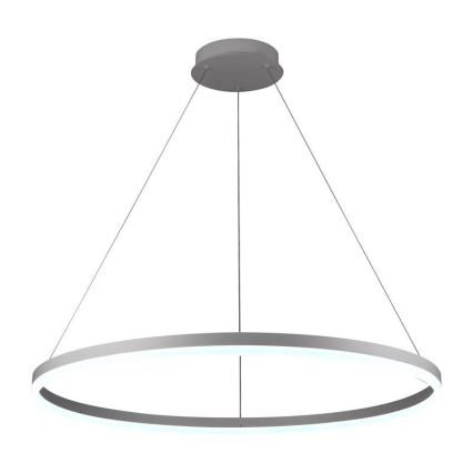 Brilagi - диммируемая LED-люстра на тросе CIRCLE LED/55Вт/230В 3000-6500К диам. 80 см белая + пульт дистанционного управления