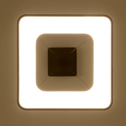 Brilagi - LED диммируемая подвесная люстра на тросе FALCON II LED/80W/230V 3000-6500K 40x40 см черная + пульт дистанционного управления