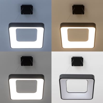 Brilagi - LED диммируемая подвесная люстра на тросе FALCON II LED/80W/230V 3000-6500K 40x40 см черная + пульт дистанционного управления