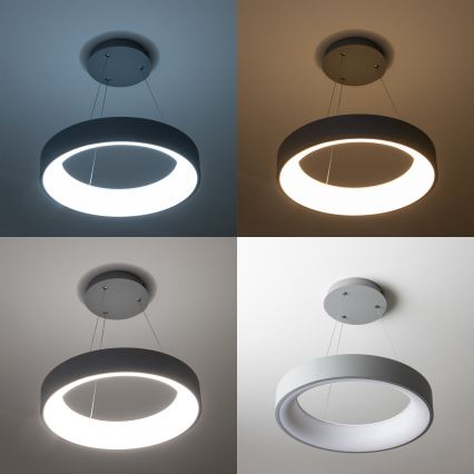 Brilagi - диммируемая LED-люстра на тросе FALCON LED/80W/230V 3000-6500K Ø 60 см серая + пульт дистанционного управления