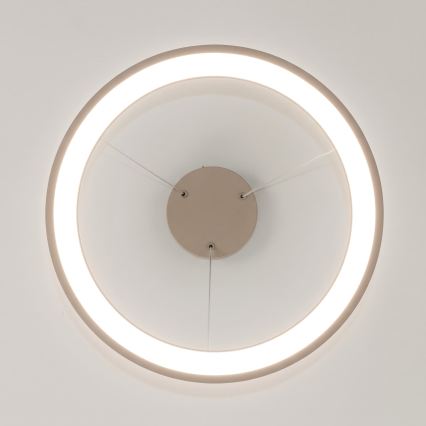 BRILAGI - LED-подвесная люстра с диммированием на тросе FALCON SLIM LED/42W/230V 3000-6500K Ø 50 см бежевая + пульт дистанционного управления