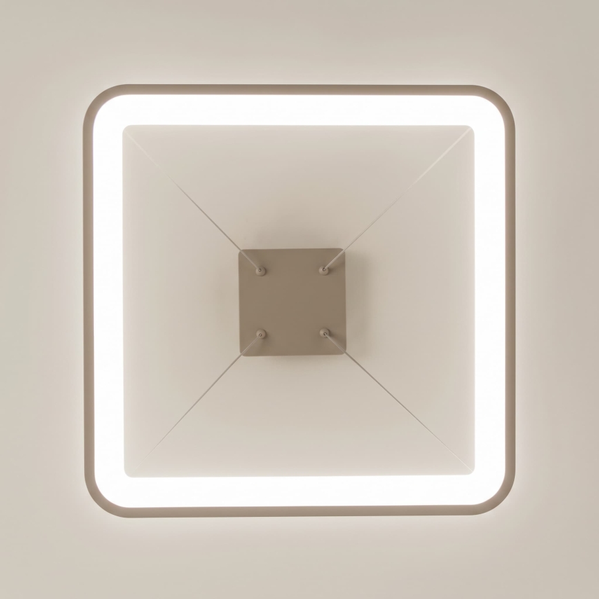 BRILAGI - LED Регулируемая по яркости люстра на тросе FALCON SLIM LED/50W/230V 3000-6500K 50x50 cm бежевый + дистанционное управление