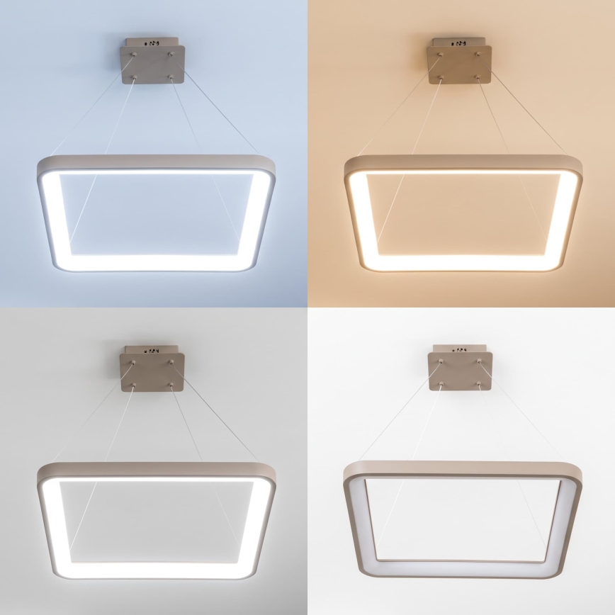BRILAGI - LED Регулируемая по яркости люстра на тросе FALCON SLIM LED/50W/230V 3000-6500K 50x50 cm бежевый + дистанционное управление