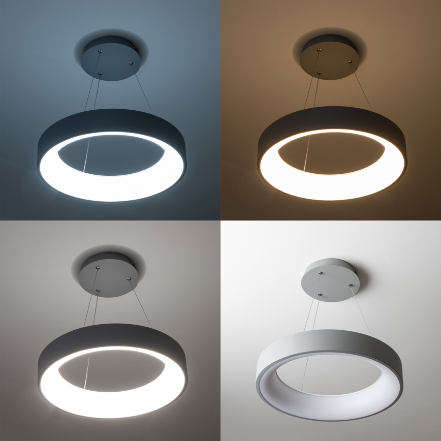 Brilagi - светодиодная диммируемая люстра на тросе FALCON LED/40W/230V 3000-6500K Ø 45 см, серая, с пультом дистанционного управления