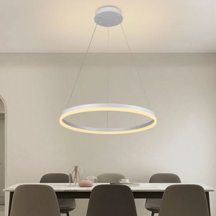 Brilagi - Диммируемая LED-подвесная люстра на тросе CIRCLE, LED 42 Вт, 230 В, 3000-6500 К, диаметр 60 см + пульт дистанционного управления