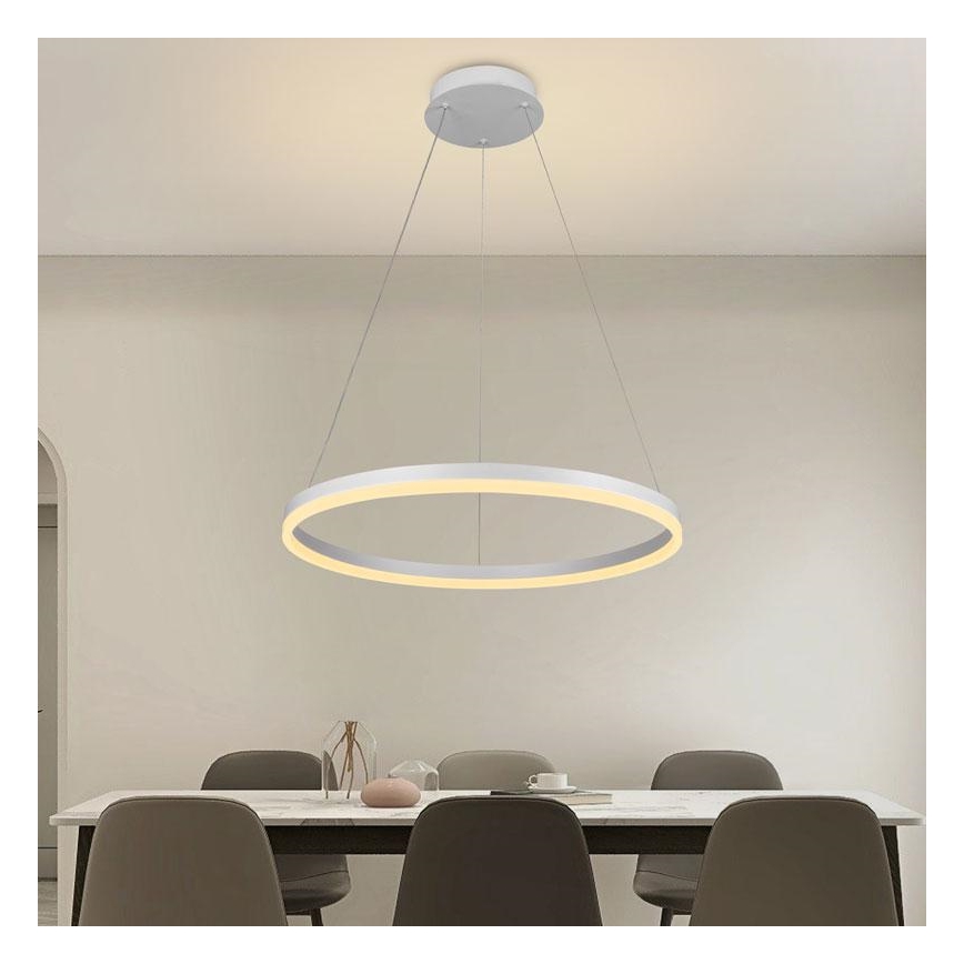 Brilagi - Диммируемая LED-подвесная люстра на тросе CIRCLE, LED 42 Вт, 230 В, 3000-6500 К, диаметр 60 см + пульт дистанционного управления