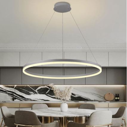Brilagi - LED диммируемая подвесная люстра на тросе CIRCLE LED/55Вт/230В 3000–6500К диаметр 80 см серебристая + пульт дистанционного управления