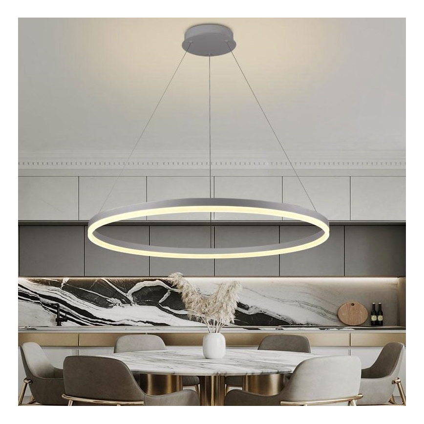Brilagi - LED диммируемая подвесная люстра на тросе CIRCLE LED/55Вт/230В 3000–6500К диаметр 80 см серебристая + пульт дистанционного управления