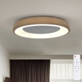 BRILAGI - LED диммируемый потолочный светильник DORIA LED/60W/230V 3000-6500K Ø 60 cm + пульт дистанционного управления