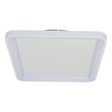 Brilagi - LED диммируемый потолочный светильник FALCON SLIM LED/50 Вт/230 В 3000–6500 К 50×50 см белый + пульт дистанционного управления