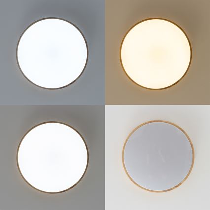 Brilagi - потолочный светодиодный светильник PINE, диммируемый LED/24W/230V Ø 42 cm 3000-6500K + пульт дистанционного управления