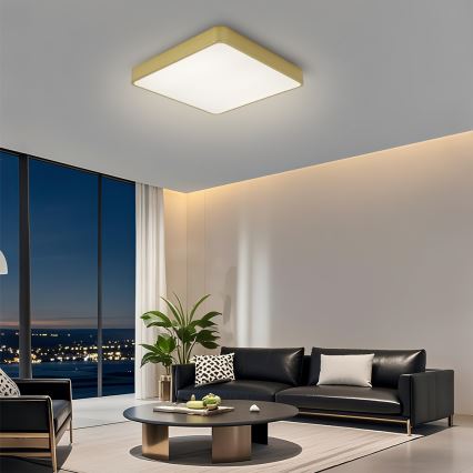 Brilagi - Диммируемый потолочный светильник LED POOL LED/48W/230V 3000-6000K 50x50 cm золотой + пульт дистанционного управления