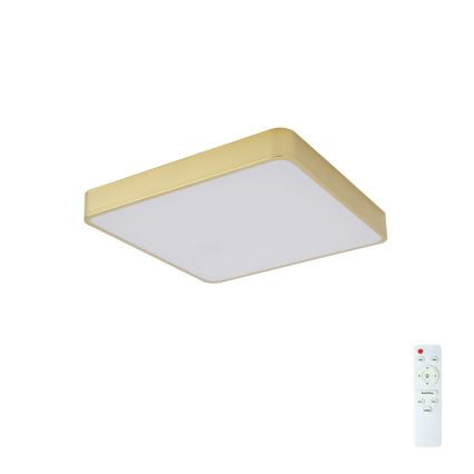 Brilagi - Диммируемый потолочный светильник LED POOL LED/48W/230V 3000-6000K 50x50 cm золотой + пульт дистанционного управления