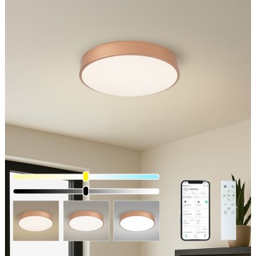 BRILAGI - LED диммируемый потолочный светильник POOL SMART LED/48W/230V 3000-6000K диаметр 40 см Wi-Fi Tuya медный + пульт дистанционного управления