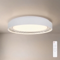 Brilagi - LED диммируемый потолочный светильник WALDO LED/48W/230V 3000-6500K Ø 40 см белый/серебристый + пульт дистанционного управления