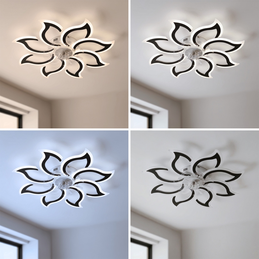 Brilagi - потолочный вентилятор с LED-подсветкой, диммируемый, 44W/230V, диаметр 90 см, чёрный + дистанционное управление
