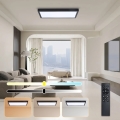 Brilagi - LED Диммируемый потолочный светильник для ванной FRAME SMART LED/30W/230V 30x60 см 3000-6000K черный + пульт дистанционного управления