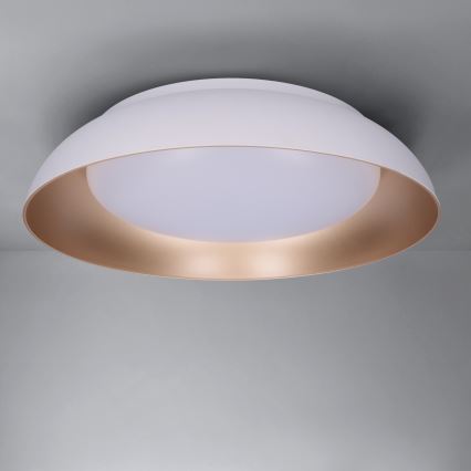 Brilagi - LED диммируемый потолочный светильник ALVA LED/48W/230V 3000-6500K диаметр 51 см белый + пульт дистанционного управления