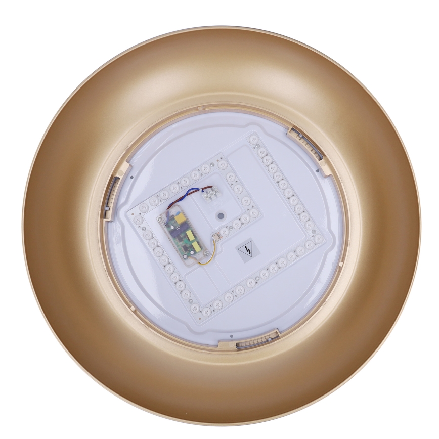 Brilagi - LED Диммируемый потолочный светильник ALVA LED/48W/230V 3000-6500K Ø 51 см черный + пульт дистанционного управления