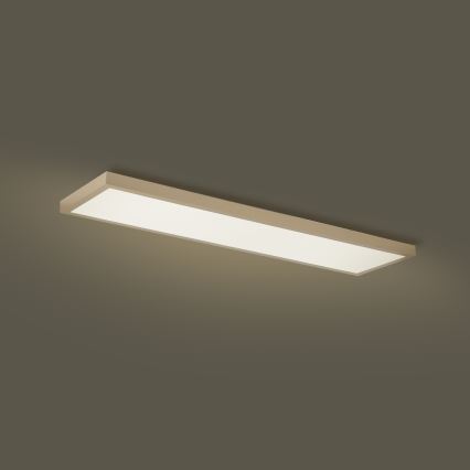 Brilagi - диммируемый светодиодный потолочный светильник для ванной FRAME SMART LED/50W/230V 120x30 см 3000-6000K IP44 бежевый + пульт дистанционного управления