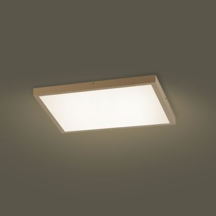 Brilagi - диммируемый потолочный светильник для ванной FRAME SMART LED, 50 Вт, 230 В, 60×60 см, 3000–6000 К, IP44, бежевый + пульт дистанционного управления