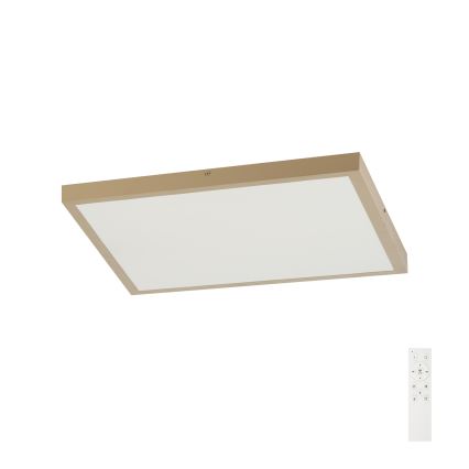 Brilagi - диммируемый потолочный светильник для ванной FRAME SMART LED, 50 Вт, 230 В, 60×60 см, 3000–6000 К, IP44, бежевый + пульт дистанционного управления