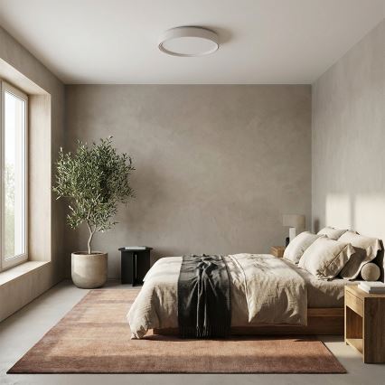 Brilagi - Светодиодный диммируемый потолочный светильник NANCI LED/60W/230V 3000-6500K диаметр 49 см белый + пульт дистанционного управления