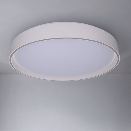 Brilagi - Светодиодный диммируемый потолочный светильник NANCI LED/60W/230V 3000-6500K диаметр 49 см белый + пульт дистанционного управления