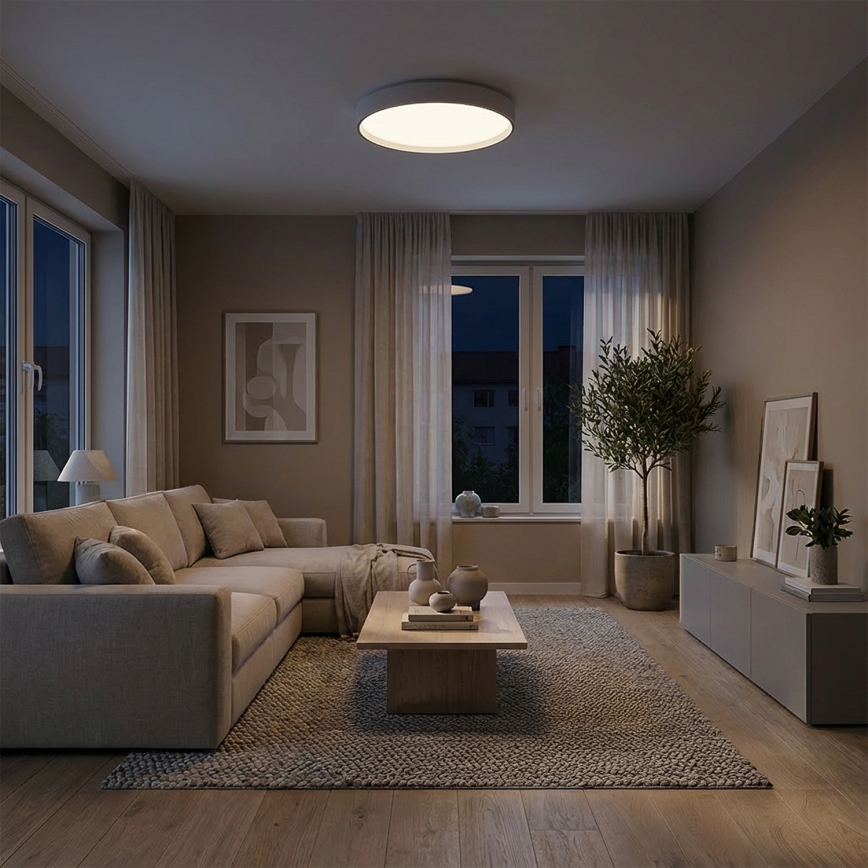 Brilagi - диммируемый светодиодный потолочный светильник NANCI LED/60Вт/230В 3000–6500К, диаметр 49 см, серебристый + пульт дистанционного управления