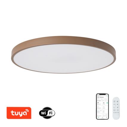 Brilagi - Диммируемый светодиодный светильник POOL SMART LED/100W/230V, диаметр 80 см, 3000-6000K, Wi-Fi (Tuya) + пульт дистанционного управления, коричневый
