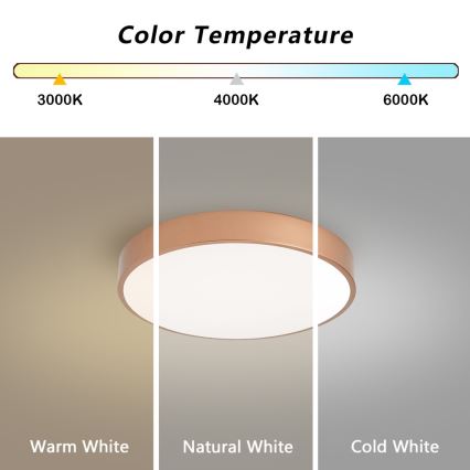 BRILAGI - LED диммируемый потолочный светильник POOL SMART LED/48W/230V 3000-6000K диаметр 40 см Wi-Fi Tuya медный + пульт дистанционного управления
