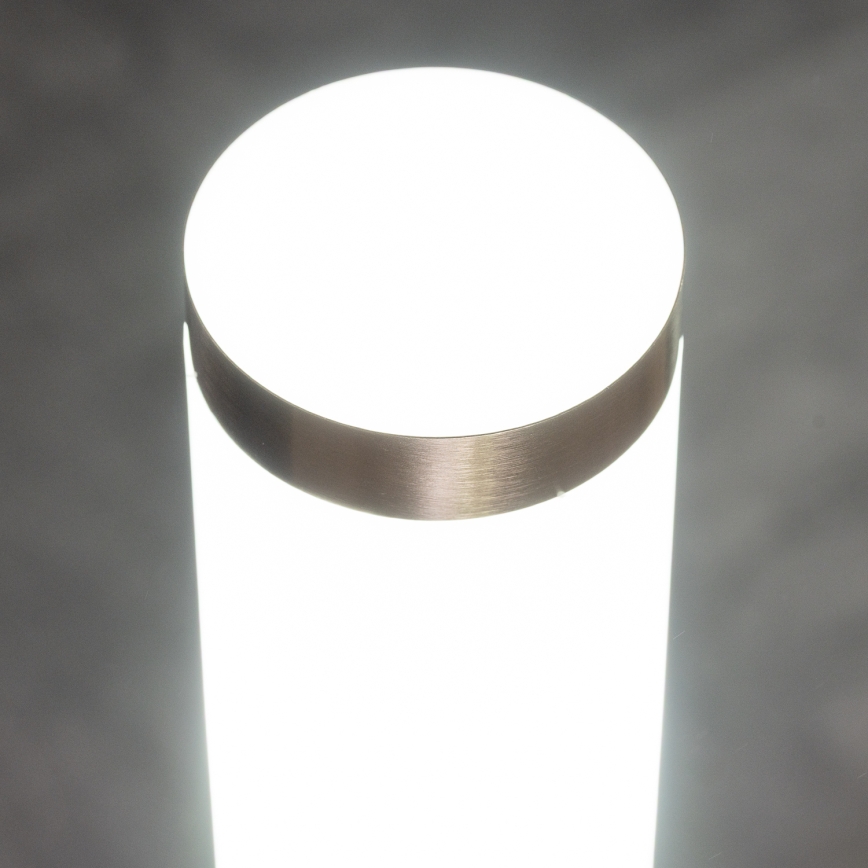 BRILAGI - LED диммируемый уличный настенный светильник ELIA 1xE27/6W/230V 2700-6500K IP44 матовый хром