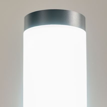 BRILAGI - Светодиодная уличная лампа с диммером ELIA 1xE27/6W/230V 2700-6500K IP44 Wi-Fi 100 cm антрацит