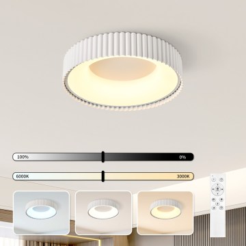 BRILAGI - LED димований стельний світильник FALCON MODERN LED/30W/230V 3000-6000K діаметр 40 см білий + дистанційне керування