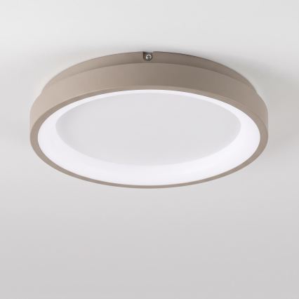 BRILAGI - LED стельовий світильник із регулюванням яскравості FALCON SLIM LED/42W/230V 3000-6500K діам. 50 см білий/бежевий + дистанційне керування
