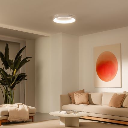 Brilagi - LED стельовий світильник з можливістю затемнення FALCON SLIM LED/42W/230V 3000-6500K діам. 50 см білий + дистанційне керування